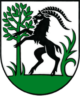 logo Obec Lietava
