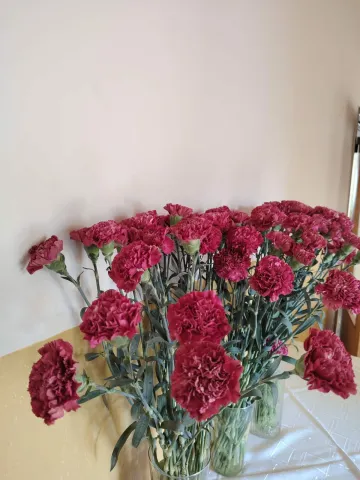 e5c2901d-b821-4946-8a30-d68083e8687b